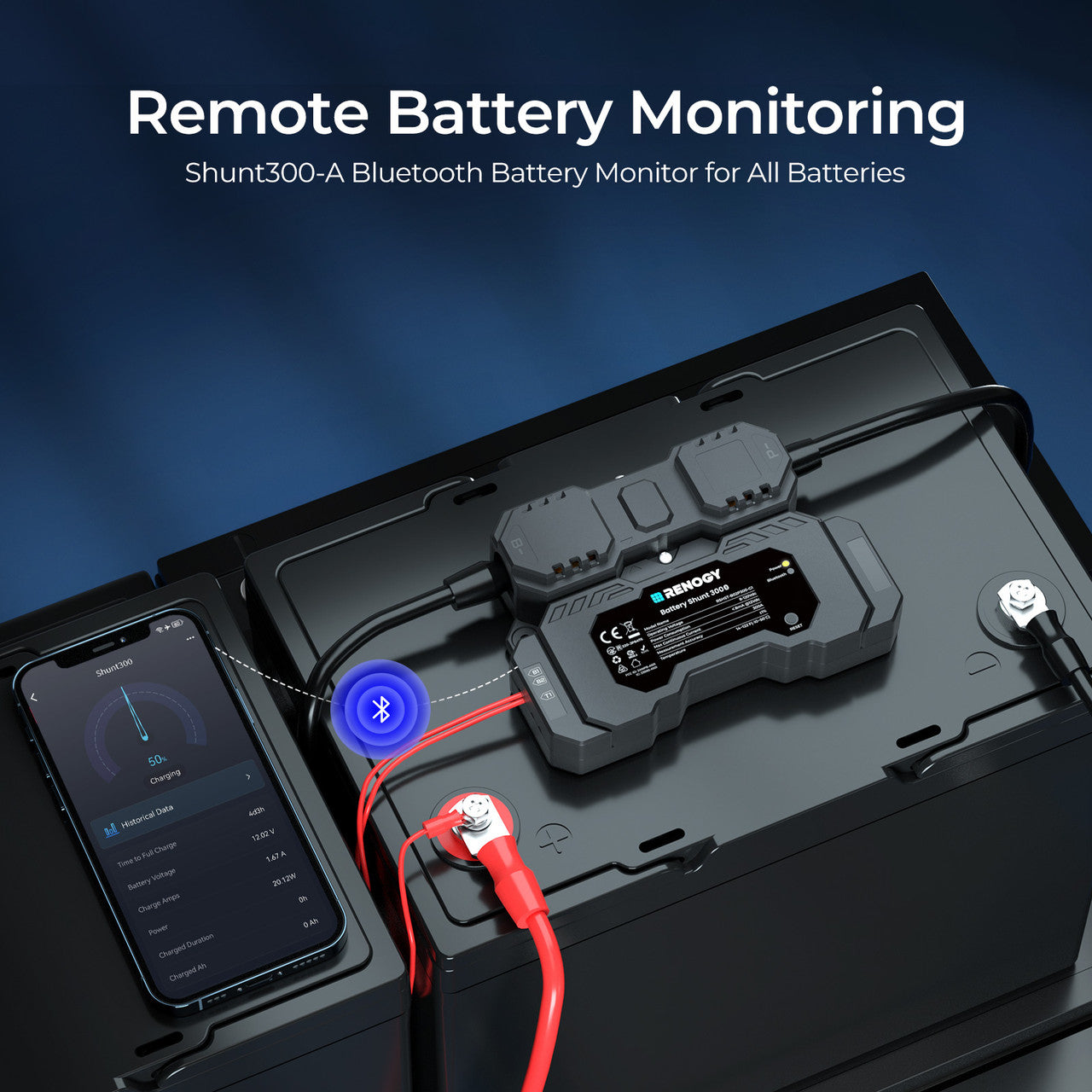 renogy-battery-shunt-300-shunt-de-mesure-de-batterie-300a image 2